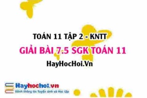 Bài 7.5 SGK Toán 11 Tập 2 Kết nối tri thức